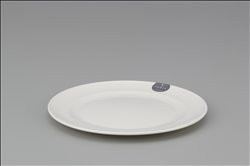 [Plastic ware] No.159277 / Plate (FOLIO / 18)